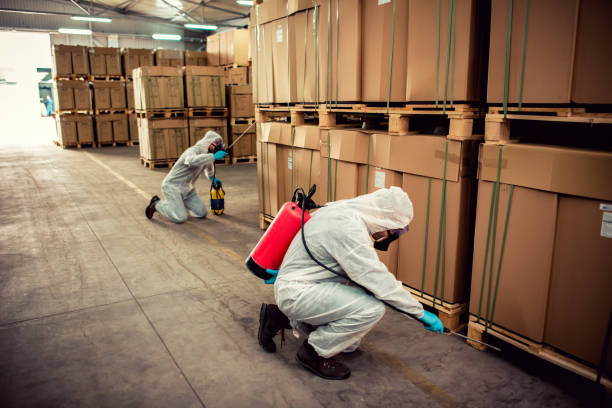 Best Residential Pest Control  in Lafayette, CO