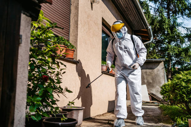 Best Ant Control Services  in Lafayette, CO