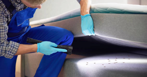 Best Pest Prevention Services  in Lafayette, CO
